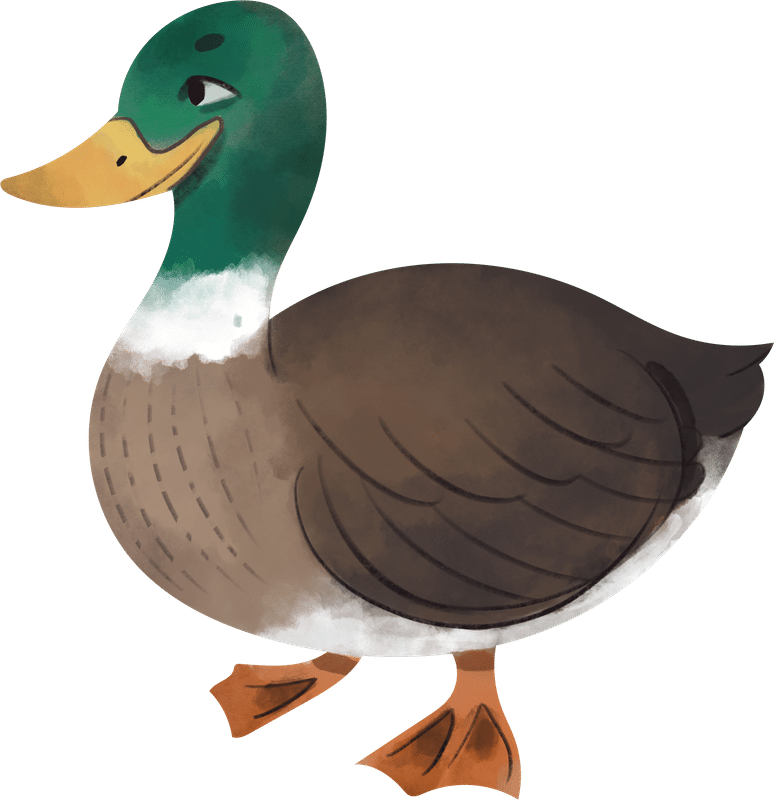 Duck drawing